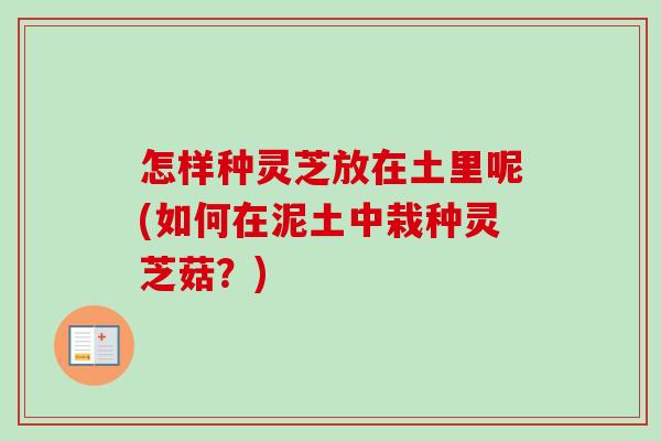 怎样种灵芝放在土里呢(如何在泥土中栽种灵芝菇？)