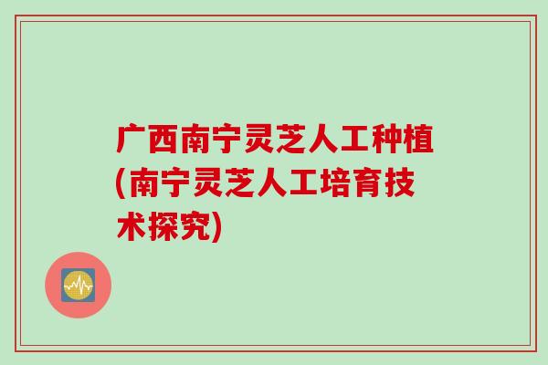 广西南宁灵芝人工种植(南宁灵芝人工培育技术探究)