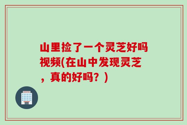 山里捡了一个灵芝好吗视频(在山中发现灵芝，真的好吗？)