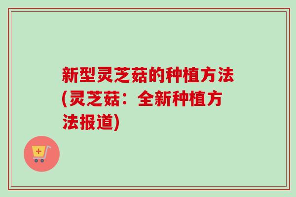 新型灵芝菇的种植方法(灵芝菇:全新种植方法报道) 新型灵芝菇的种植方法(灵芝菇:全新种植方法报道)
