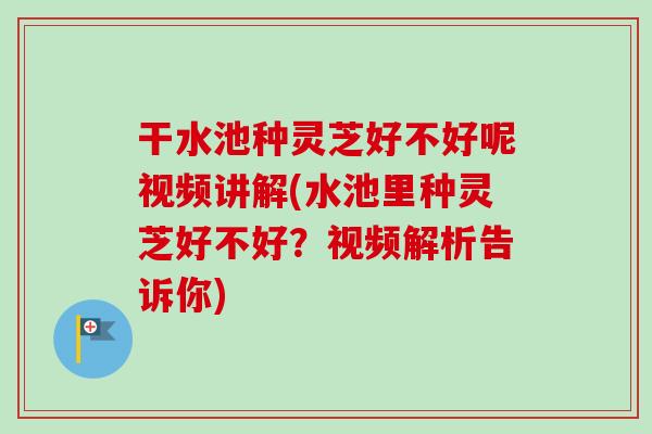 干水池种灵芝好不好呢视频讲解(水池里种灵芝好不好？视频解析告诉你)