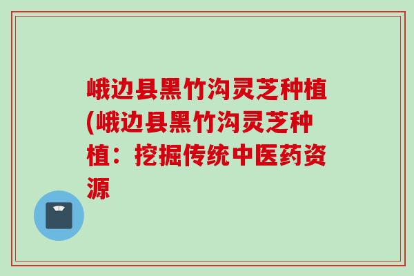 峨边县黑竹沟灵芝种植(峨边县黑竹沟灵芝种植:挖掘传统中医药资源 峨边县黑竹沟灵芝种植(峨边县黑竹沟灵芝种植:挖掘传统中医药资源