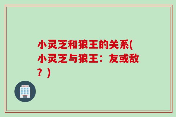小灵芝和狼王的关系(小灵芝与狼王：友或敌？)