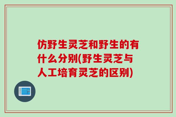 仿野生灵芝和野生的有什么分别(野生灵芝与人工培育灵芝的区别)
