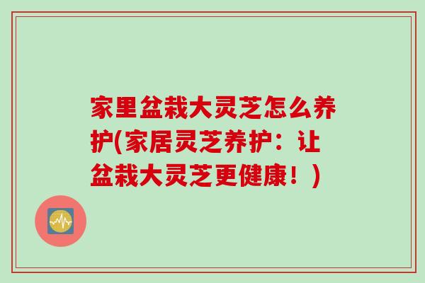 家里盆栽大灵芝怎么养护(家居灵芝养护：让盆栽大灵芝更健康！)
