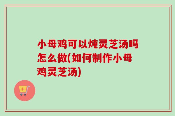 小母鸡可以炖灵芝汤吗怎么做(如何制作小母鸡灵芝汤)