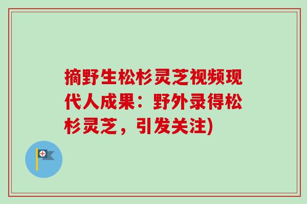 摘野生松杉灵芝视频现代人成果：野外录得松杉灵芝，引发关注)