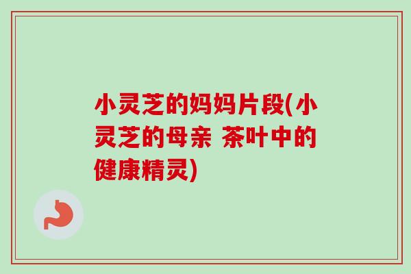 小灵芝的妈妈片段(小灵芝的母亲 茶叶中的健康精灵)