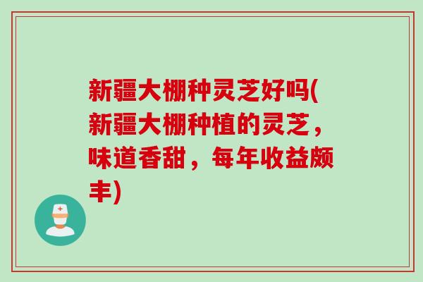 新疆大棚种灵芝好吗(新疆大棚种植的灵芝，味道香甜，每年收益颇丰)