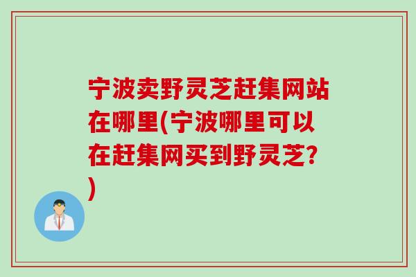 宁波卖野灵芝赶集网站在哪里(宁波哪里可以在赶集网买到野灵芝?) 宁波卖野灵芝赶集网站在哪里(宁波哪里可以在赶集网买到野灵芝?)