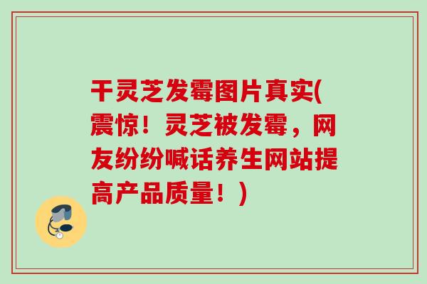 干灵芝发霉图片真实(震惊！灵芝被发霉，网友纷纷喊话养生网站提高产品质量！)