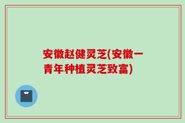 安徽赵健灵芝(安徽一青年种植灵芝致富)