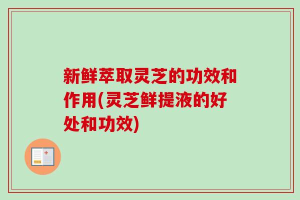新鲜萃取灵芝的功效和作用(灵芝鲜提液的好处和功效)