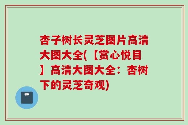杏子树长灵芝图片高清大图大全(【赏心悦目】高清大图大全：杏树下的灵芝奇观)
