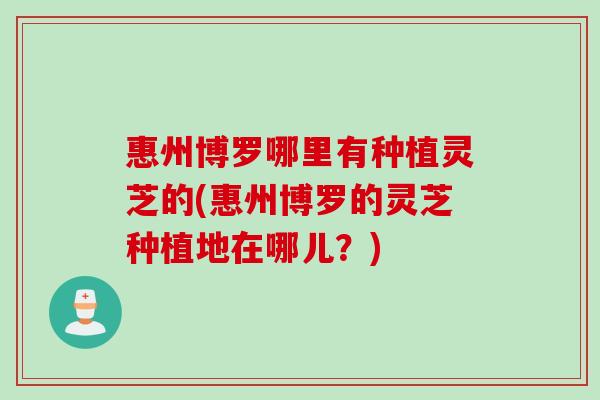 惠州博罗哪里有种植灵芝的(惠州博罗的灵芝种植地在哪儿？)