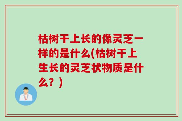 枯树干上长的像灵芝一样的是什么(枯树干上生长的灵芝状物质是什么？)