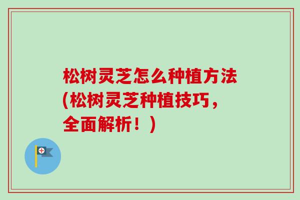 松树灵芝怎么种植方法(松树灵芝种植技巧，全面解析！)
