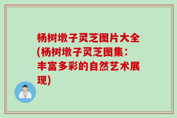 杨树墩子灵芝图片大全(杨树墩子灵芝图集：丰富多彩的自然艺术展现)