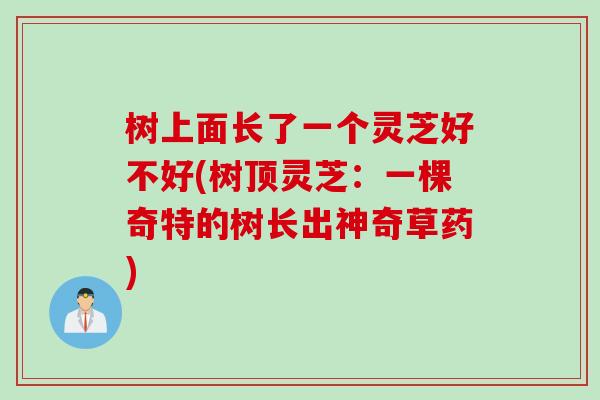 树上面长了一个灵芝好不好(树顶灵芝：一棵奇特的树长出神奇草药)