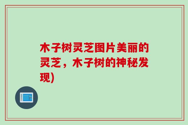 木子树灵芝图片美丽的灵芝，木子树的神秘发现)