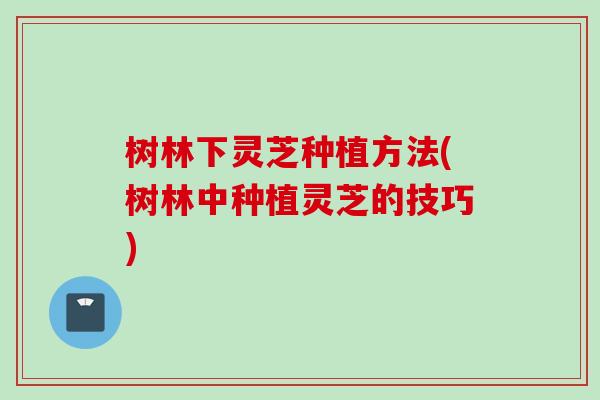 树林下灵芝种植方法(树林中种植灵芝的技巧)