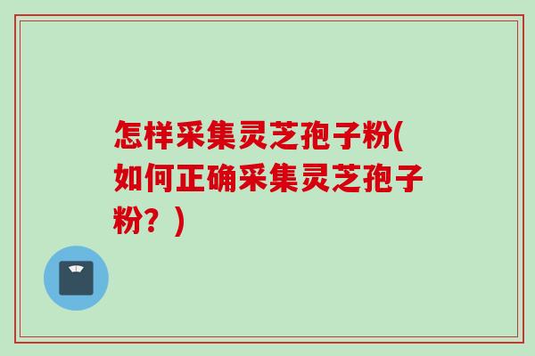 怎样采集灵芝孢子粉(如何正确采集灵芝孢子粉？)