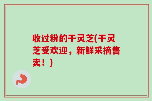 收过粉的干灵芝(干灵芝受欢迎，新鲜采摘售卖！)