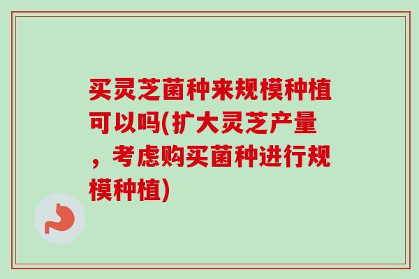 买灵芝菌种来规模种植可以吗(扩大灵芝产量,考虑购买菌种进行规模种植) 买灵芝菌种来规模种植可以吗(扩大灵芝产量,考虑购买菌种进行规模种植)
