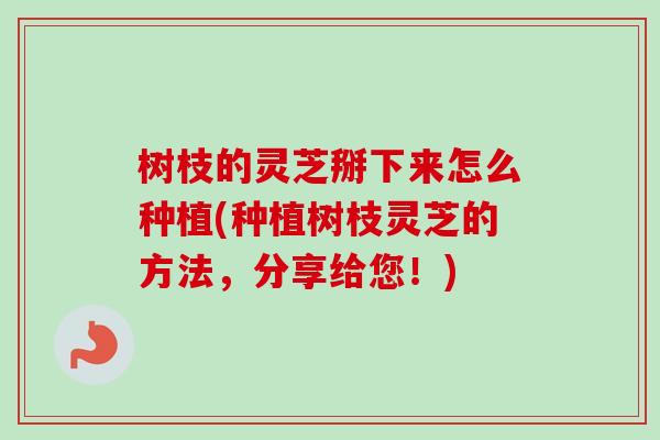 树枝的灵芝掰下来怎么种植(种植树枝灵芝的方法，分享给您！)
