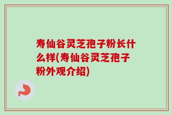 寿仙谷灵芝孢子粉长什么样(寿仙谷灵芝孢子粉外观介绍)