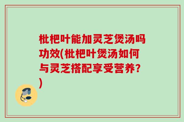 枇杷叶能加灵芝煲汤吗功效(枇杷叶煲汤如何与灵芝搭配享受营养？)