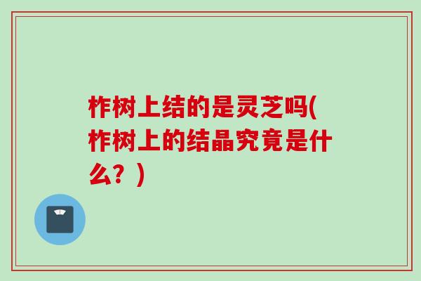 柞树上结的是灵芝吗(柞树上的结晶究竟是什么？)