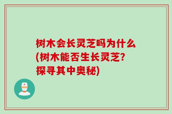 树木会长灵芝吗为什么(树木能否生长灵芝？探寻其中奥秘)