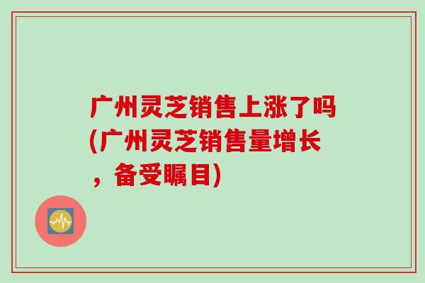 广州灵芝销售上涨了吗(广州灵芝销售量增长，备受瞩目)