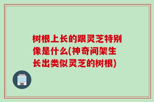 树根上长的跟灵芝特别像是什么(神奇间架生长出类似灵芝的树根)