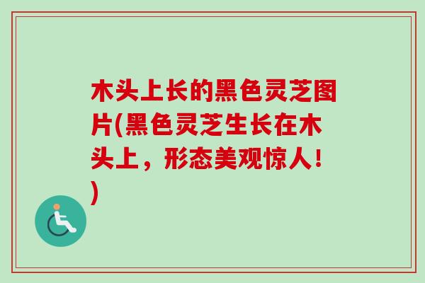 木头上长的黑色灵芝图片(黑色灵芝生长在木头上，形态美观惊人！)