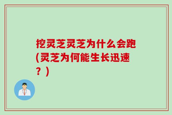 挖灵芝灵芝为什么会跑(灵芝为何能生长迅速？)