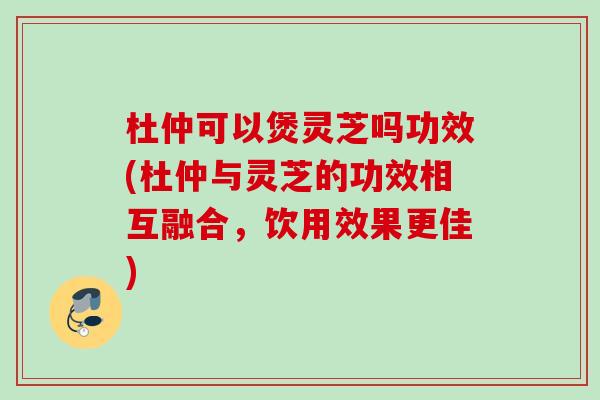 杜仲可以煲灵芝吗功效(杜仲与灵芝的功效相互融合，饮用效果更佳)
