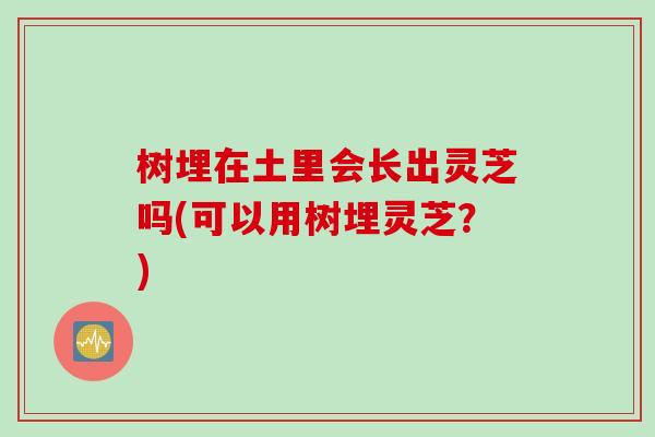 树埋在土里会长出灵芝吗(可以用树埋灵芝？)
