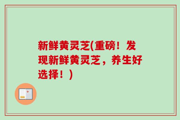 新鲜黄灵芝(重磅!发现新鲜黄灵芝,养生好选择!) 新鲜黄灵芝(重磅!发现新鲜黄灵芝,养生好选择!)