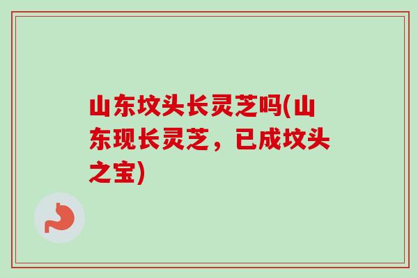 山东坟头长灵芝吗(山东现长灵芝，已成坟头之宝)