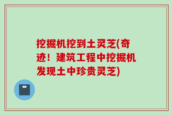 挖掘机挖到土灵芝(奇迹！建筑工程中挖掘机发现土中珍贵灵芝)