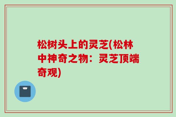 松树头上的灵芝(松林中神奇之物：灵芝顶端奇观)