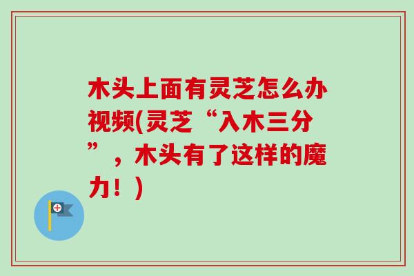 木头上面有灵芝怎么办视频(灵芝“入木三分”，木头有了这样的魔力！)