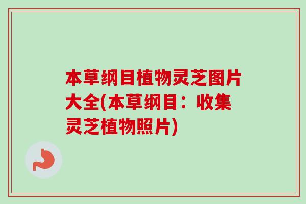 本草纲目植物灵芝图片大全(本草纲目:收集灵芝植物照片) 本草纲目植物灵芝图片大全(本草纲目:收集灵芝植物照片)