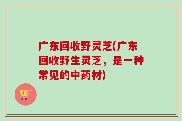 广东回收野灵芝(广东回收野生灵芝，是一种常见的材)