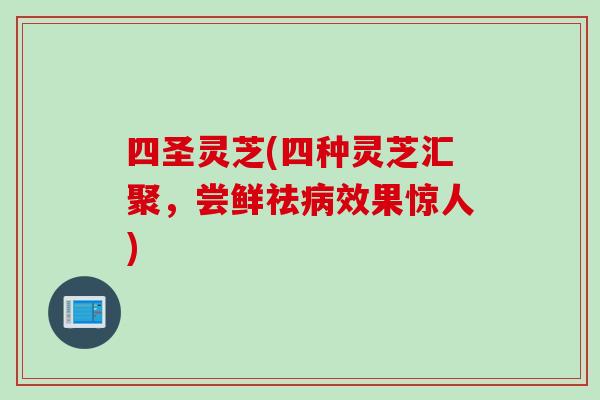 四圣灵芝(四种灵芝汇聚，尝鲜祛病效果惊人)