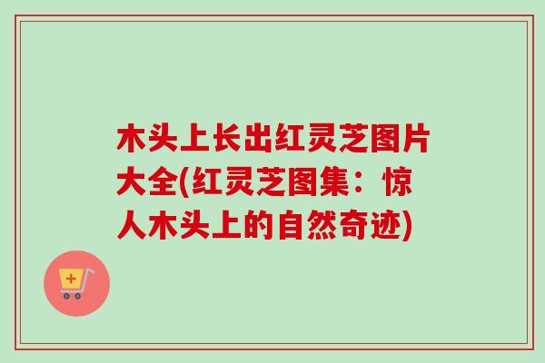 木头上长出红灵芝图片大全(红灵芝图集：惊人木头上的自然奇迹)