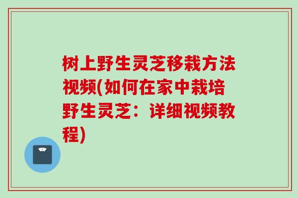 树上野生灵芝移栽方法视频(如何在家中栽培野生灵芝：详细视频教程)