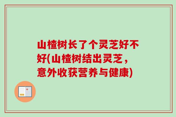 山楂树长了个灵芝好不好(山楂树结出灵芝，意外收获营养与健康)